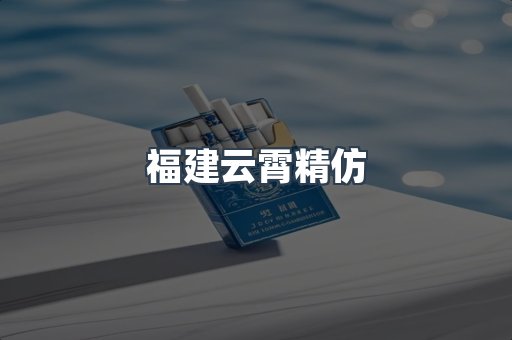 福建云霄精仿